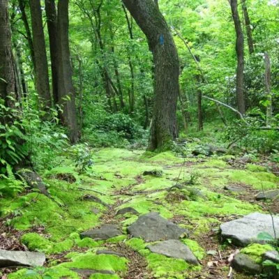 Laurel Summit State Park