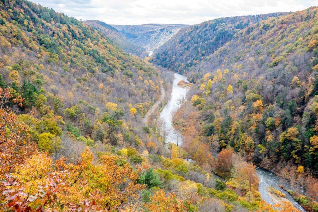 view of the river running through the grand canyon of Pennsylvania at Leonard Harrison State Park