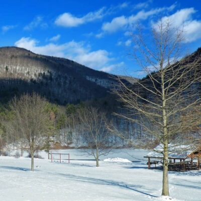 Tioga State Forest