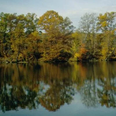 Maurice K. Goddard State Park