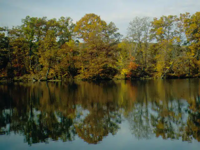 Lake Wilhelm in Maurice K. Goddard State Park