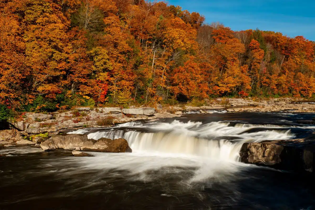 Ohiopyle State Park
