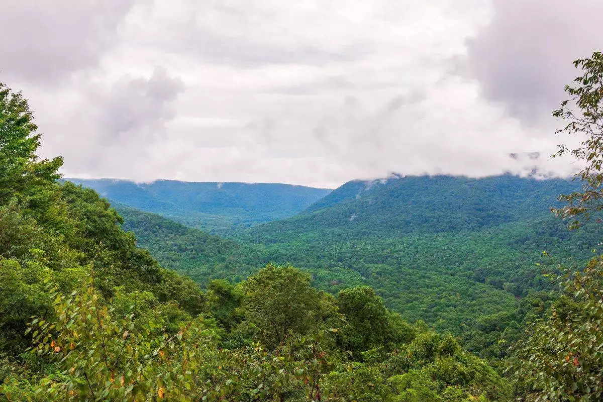 scenic overlook at Ohiopyle State Park