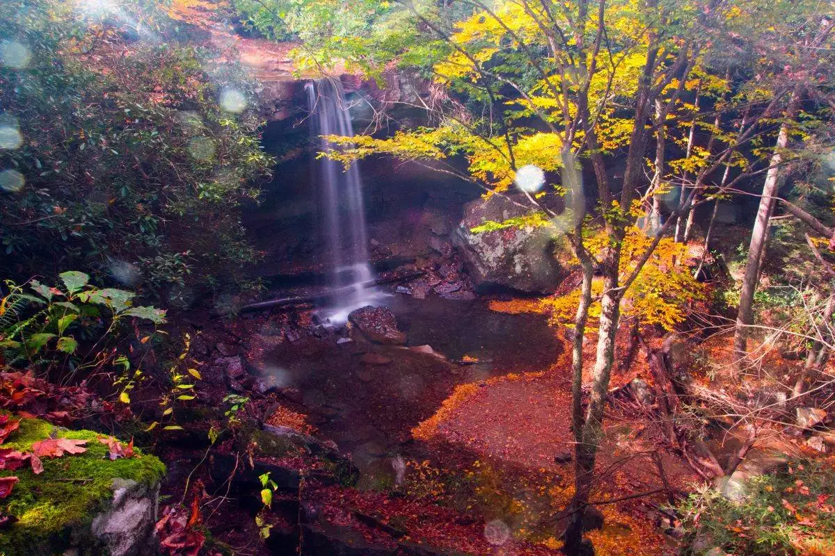 Cucumber Falls waterfall at Ohiopyle State Park