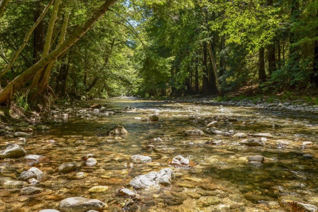 creek running through Pfeiffer Big Sur State Park