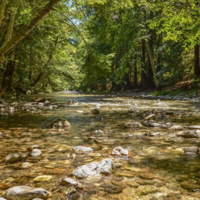 Negro Bar State Park