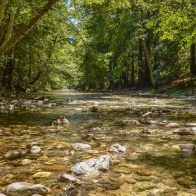 Dos Rios Ranch Preserve
