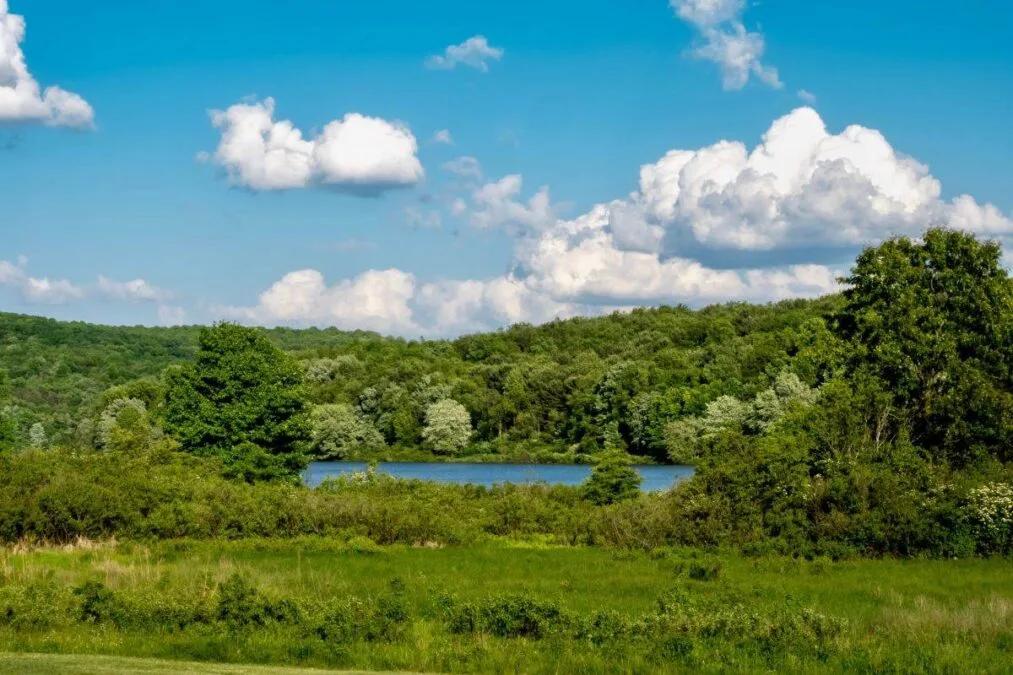 Moraine State Park 81 A photograph of the lake at Moraine State Park