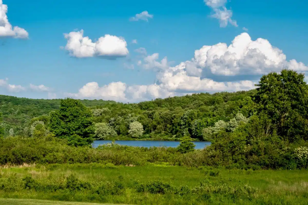 Moraine State Park