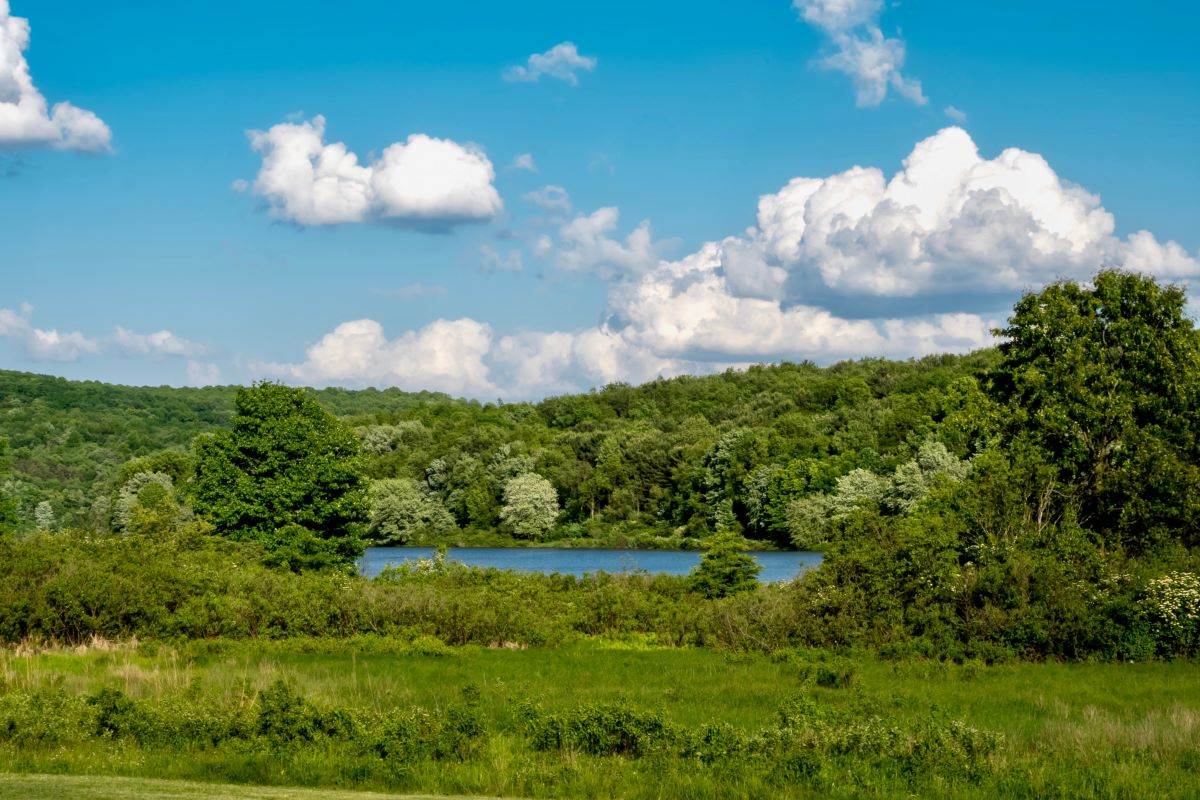 Moraine State Park