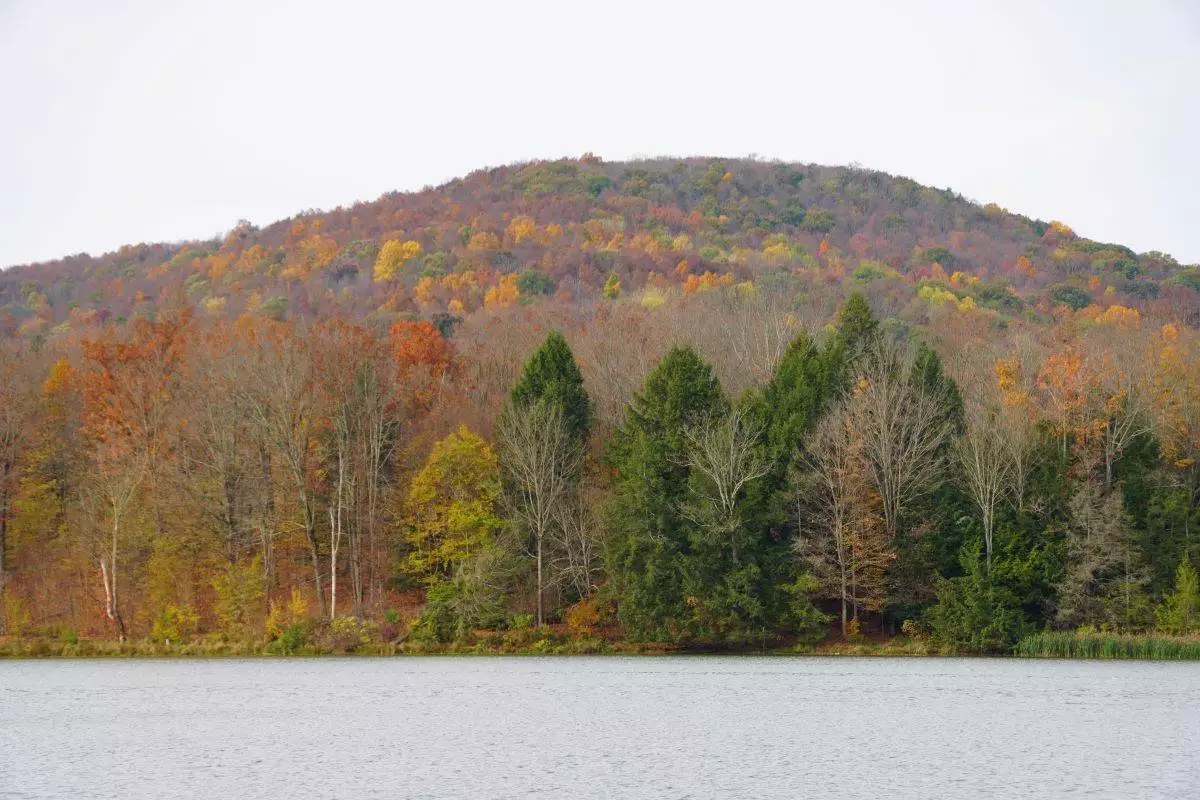the lake at Mount Pisgah State Park with fall foliage