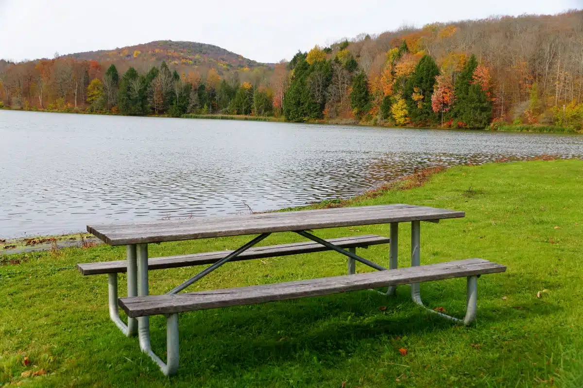 Mount Pisgah State Park 3 picnic table in front of the water at Mount Pisgah State Park