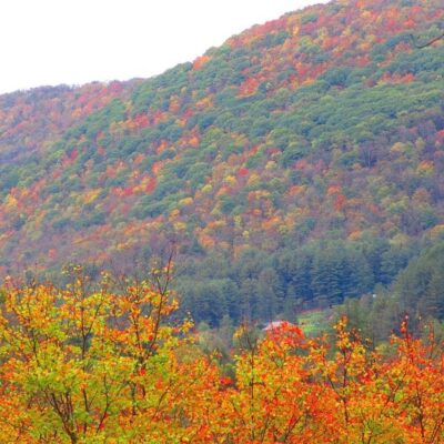 Ole Bull State Park