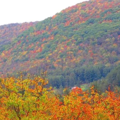 Ole Bull State Park