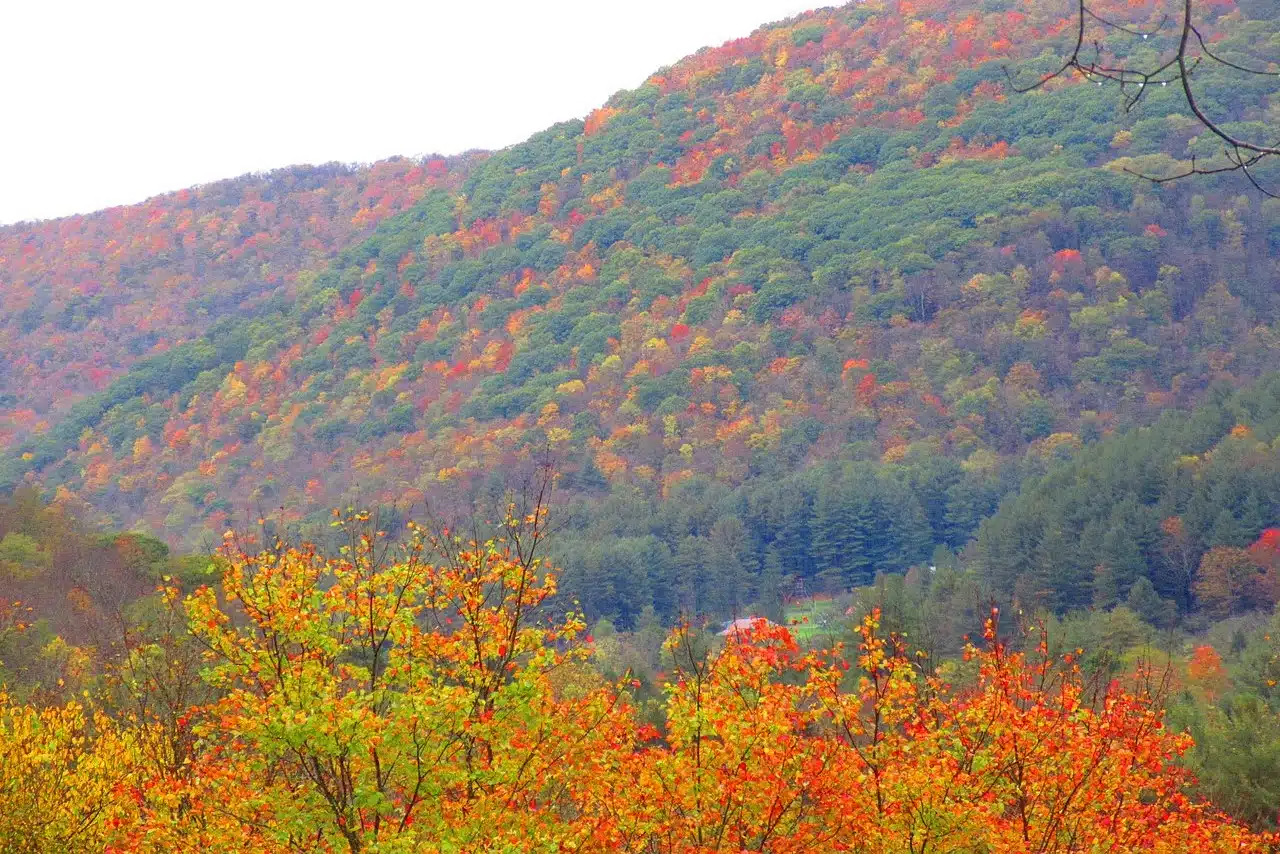 Ole Bull State Park