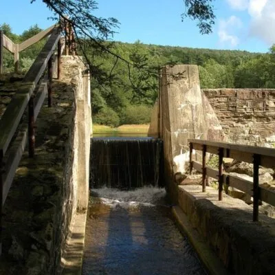 Penn-Roosevelt State Park