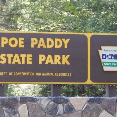 Moshannon State Forest