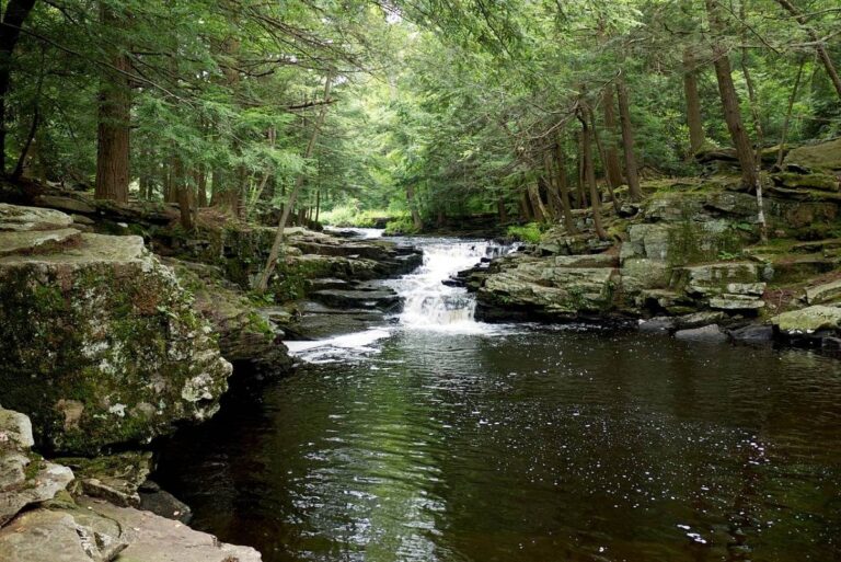 Promised Land State Park