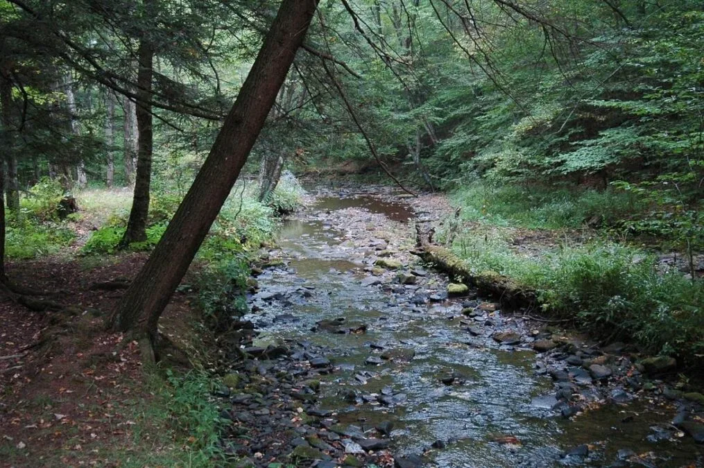 Prouty Place State Park 105 Prouty Run at Prouty Place State Park