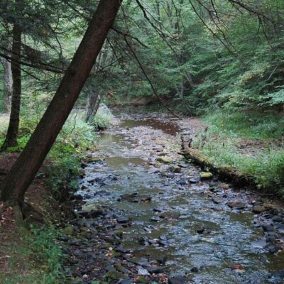 Big Spring State Park