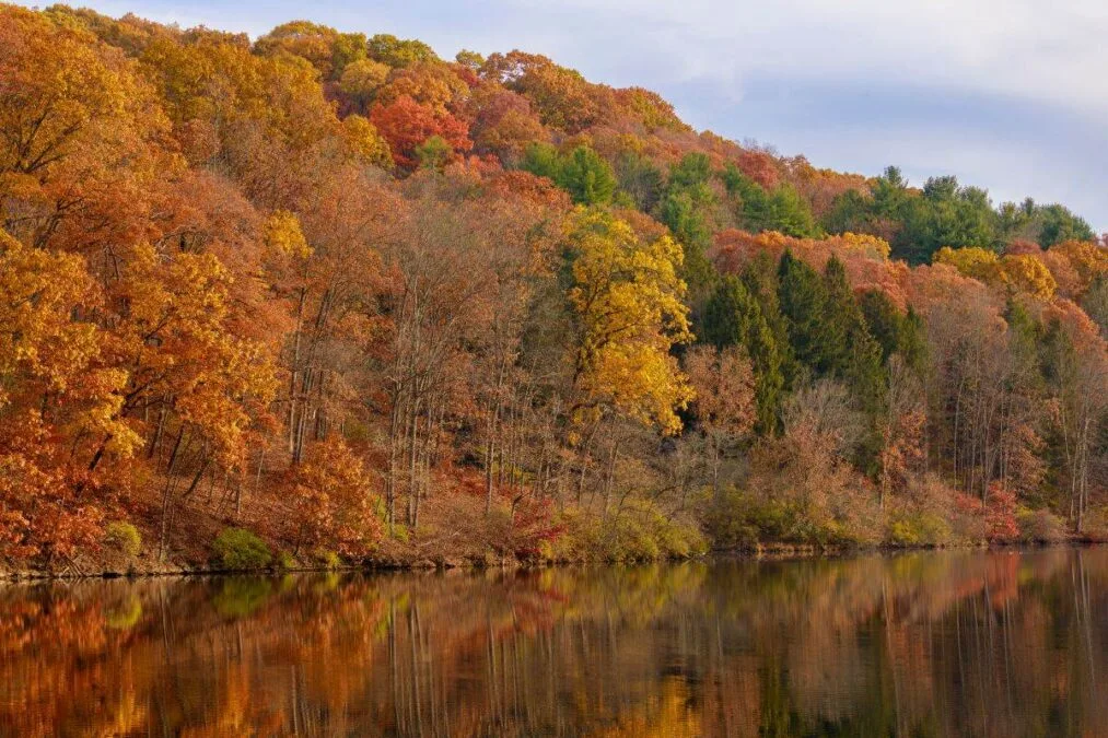 Raccoon Creek State Park 107 fall foliage reflecting off of the lake at Raccoon Creek State Park