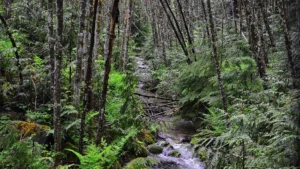 25 Mile Creek State Park