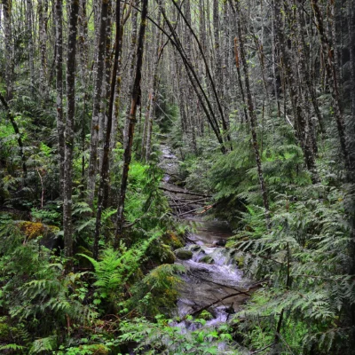 25 Mile Creek State Park