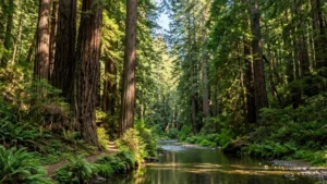 Admiral William Standley State Recreation Area