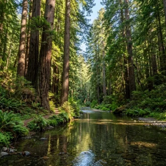 Sugarloaf Ridge State Park