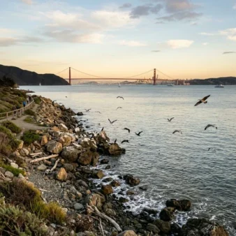 Albany State Marine Reserve