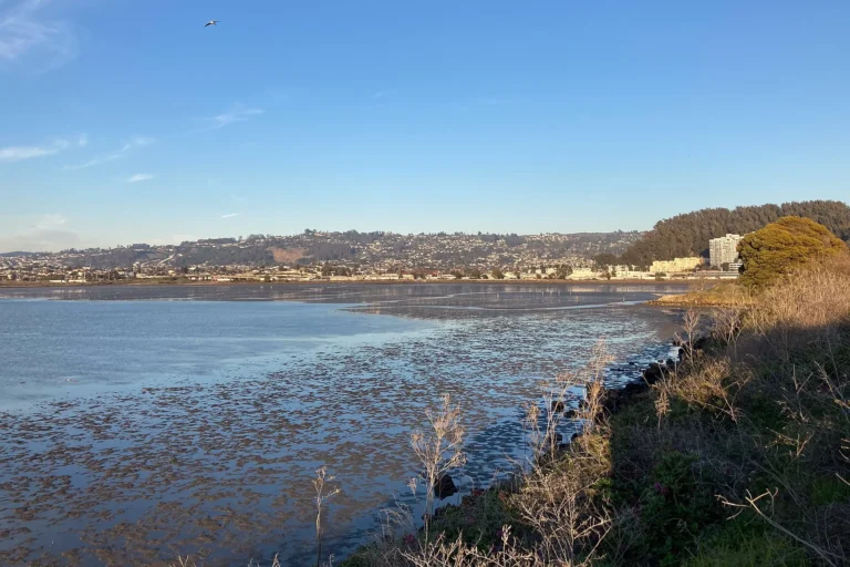 Albany State Marine Reserve
