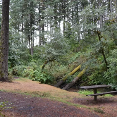 Alderwood State Wayside