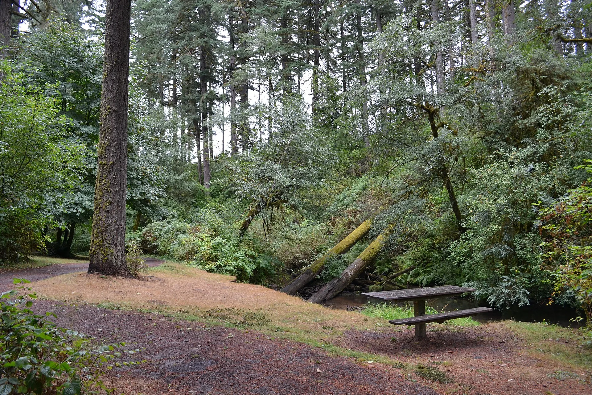 Alderwood State Wayside