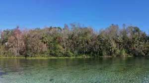 Alexander Springs Recreation Area