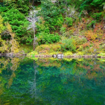 Alfred A. Loeb State Park