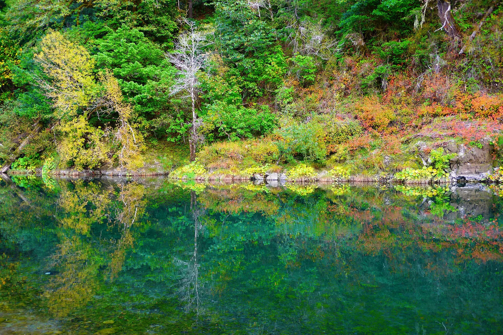 Alfred A. Loeb State Park