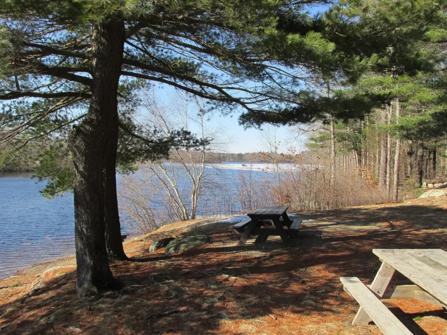Ames Nowell State Park 1 Cleveland Pond, Ames Nowell State Park, Abington Massachusetts