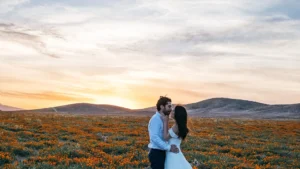 Antelope Valley California Poppy Reserve