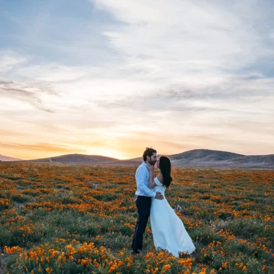 Antelope Valley California Poppy Reserve