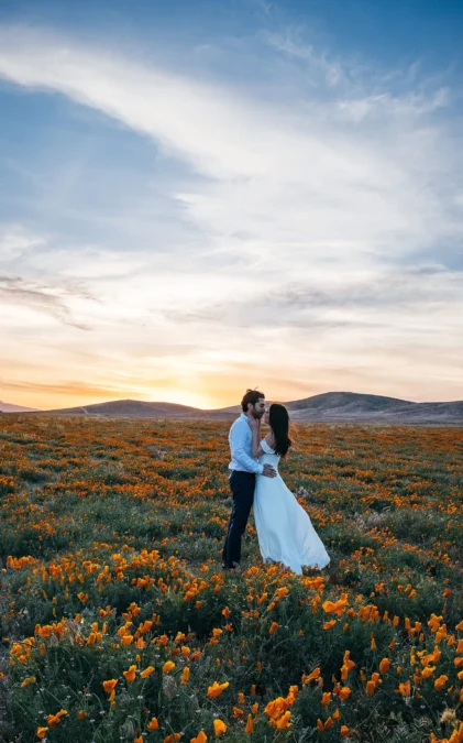 Antelope Valley California Poppy Reserve (California)