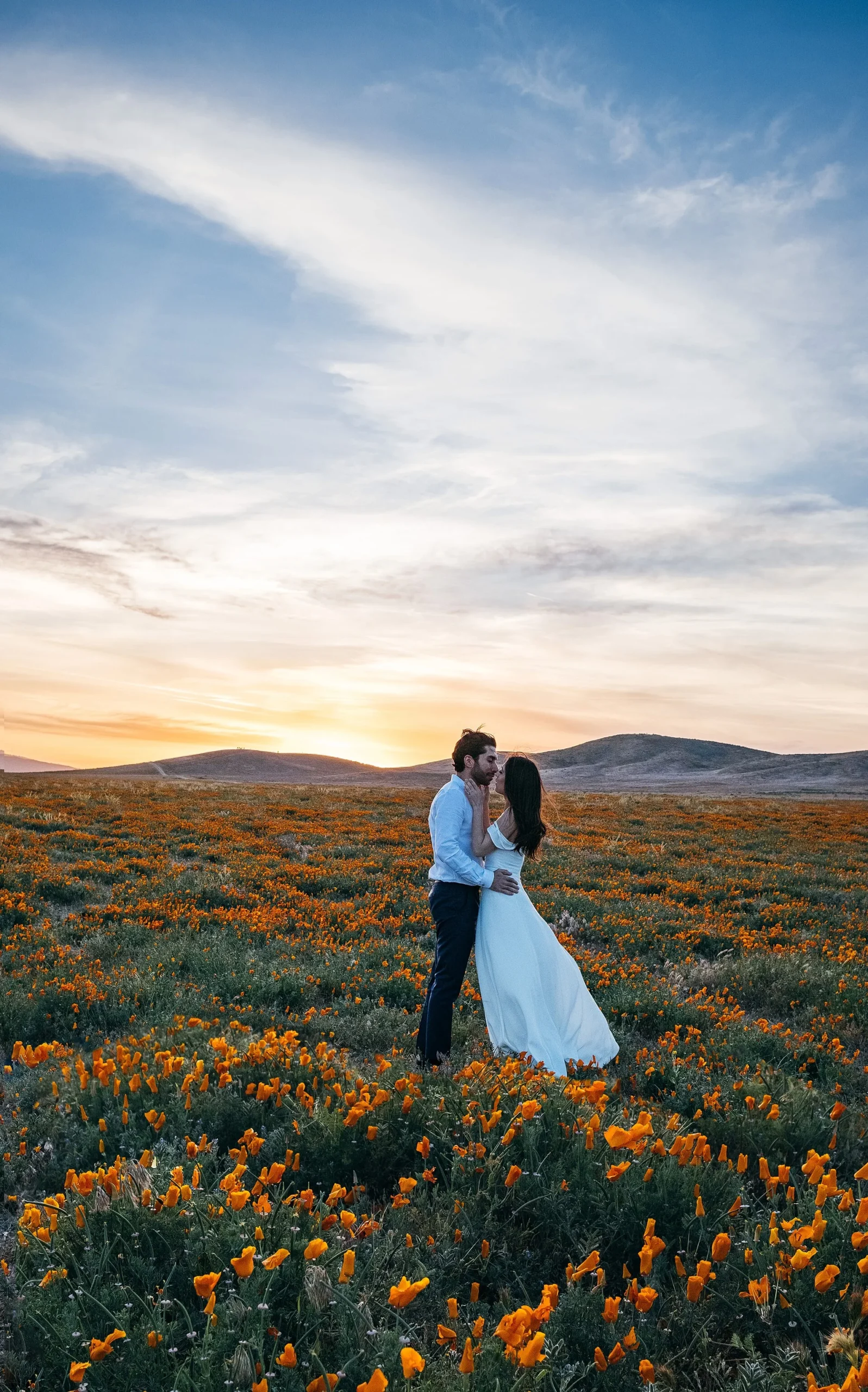 Antelope Valley California Poppy Reserve