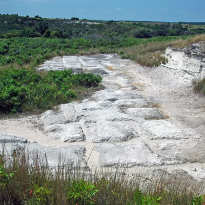 Ashfall Fossil Beds State Historical Park