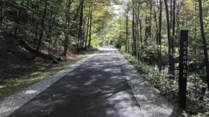 Ashuwillticook Rail Trail