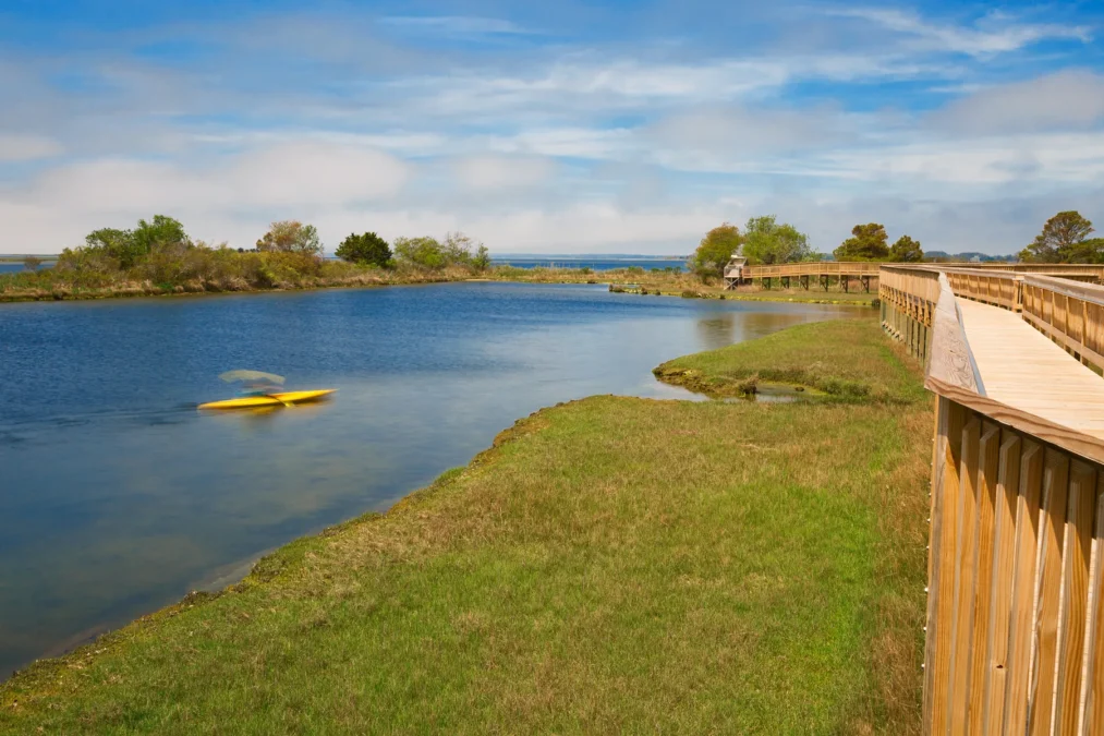 Marsh seen from an elevated boardwalk on Assateague Island near Berlin, Maryland