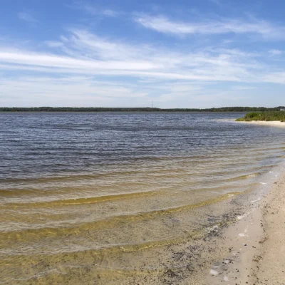 Assawoman Wildlife Area