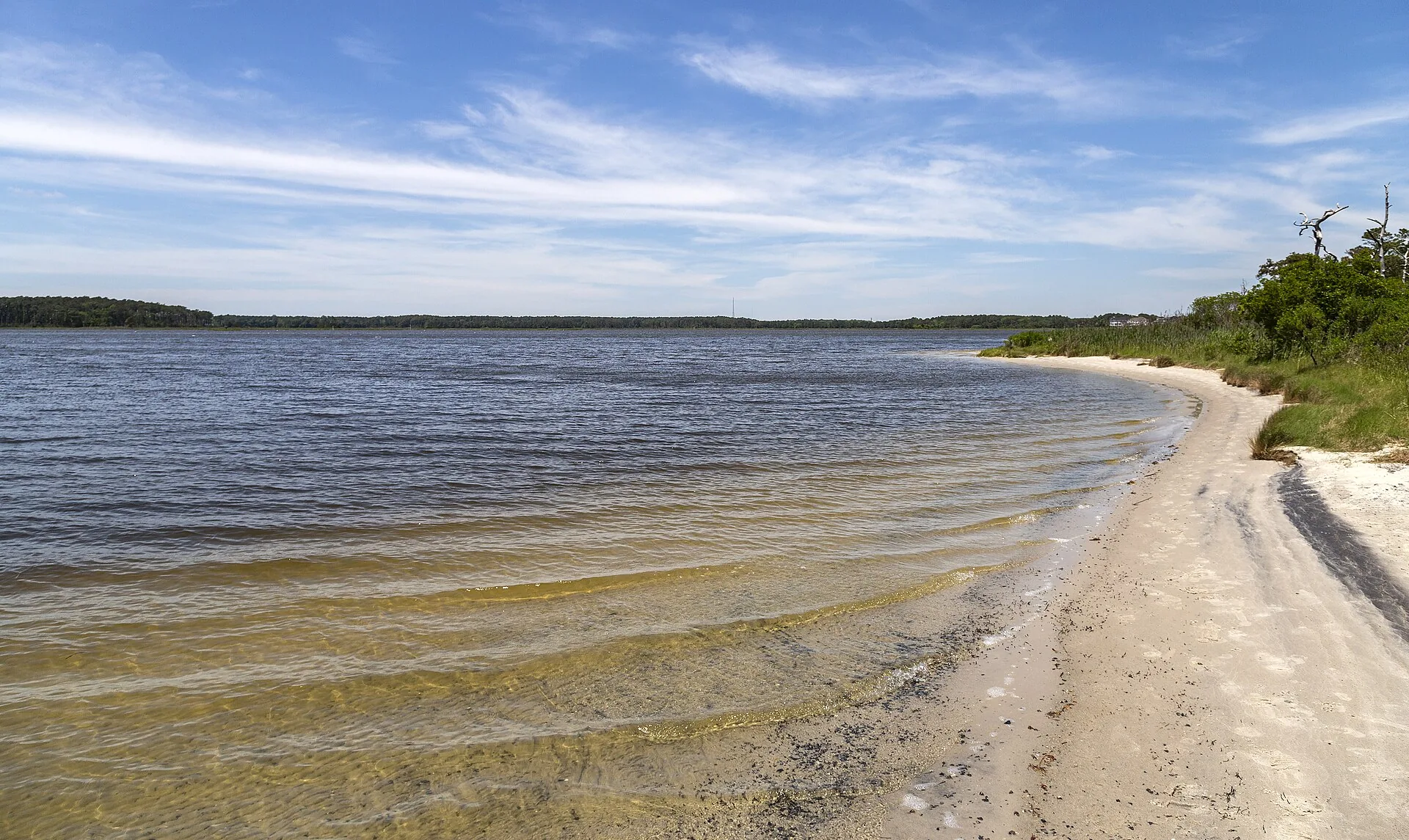 Assawoman Wildlife Area
