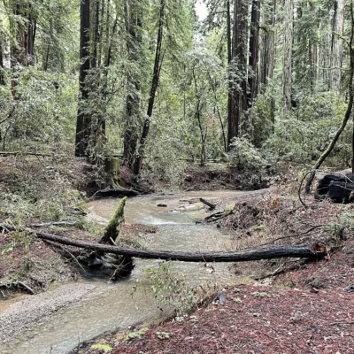 Austin Creek State Recreation Area
