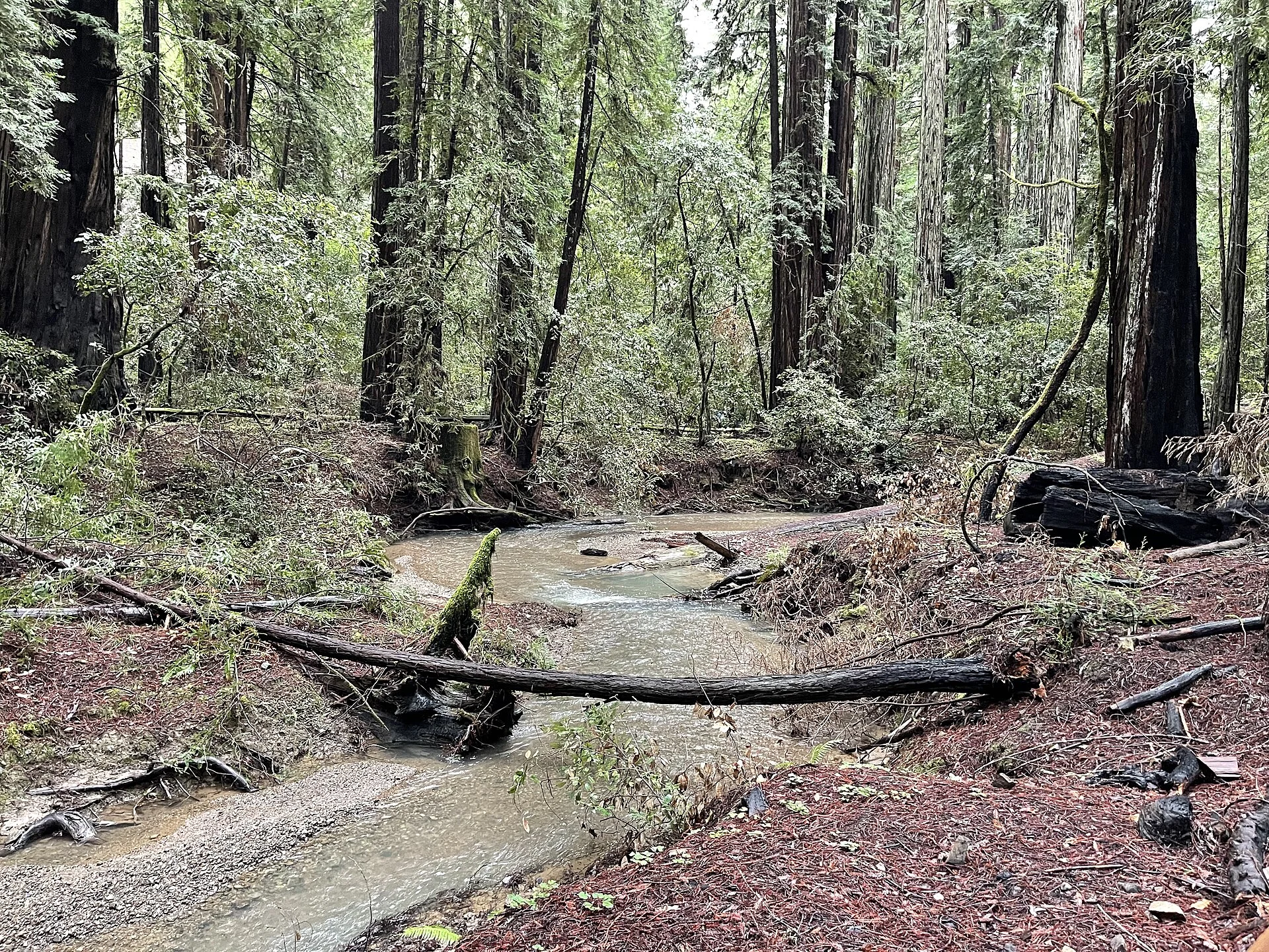 Austin Creek State Recreation Area