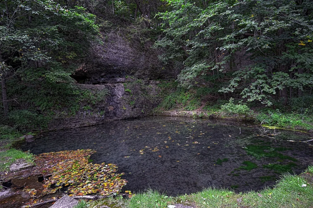 Richmond Springs at Backbone State Park, Iowa