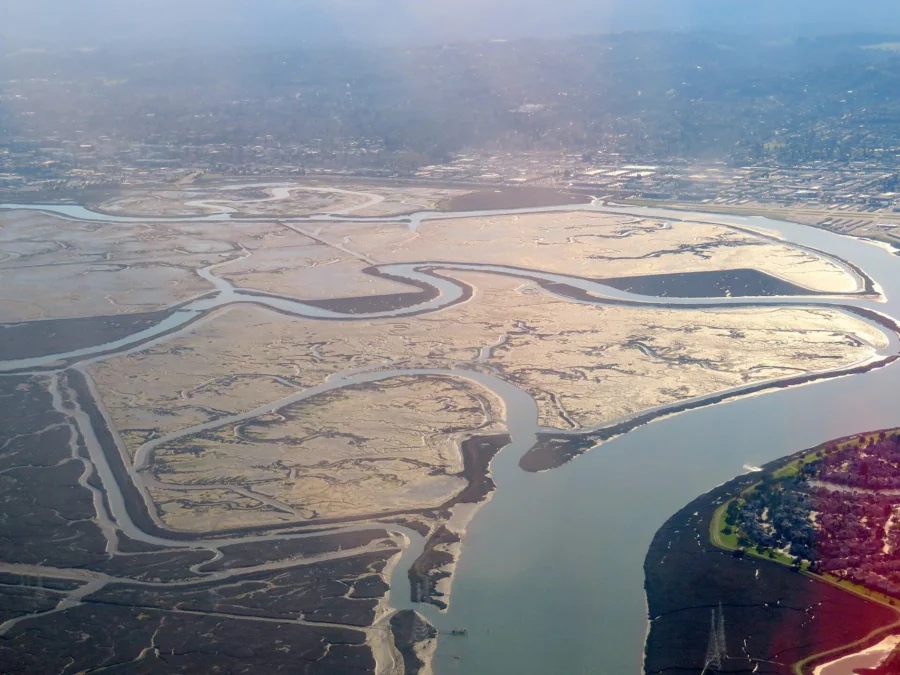 Aerial view of Bair Island Ecological Reserve in Redwood City, California